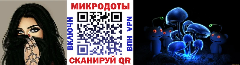 как найти   Нарьян-Мар  Псилоцибиновые грибы Psilocybe 