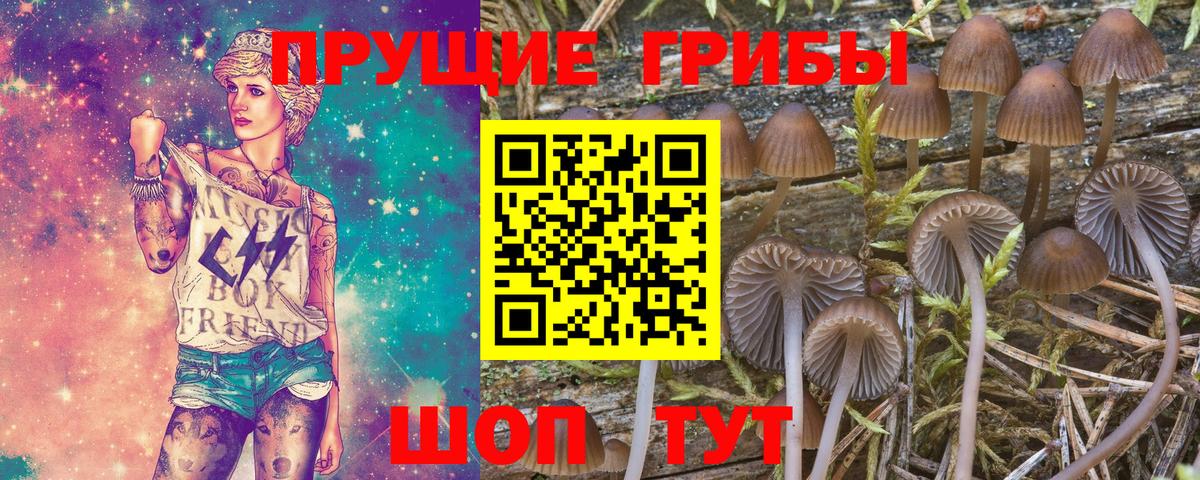 Псилоцибиновые грибы Psilocybine cubensis  Псилоцибиновые грибы Cubensis  купить закладку  Нарьян-Мар  Вход с VPN 